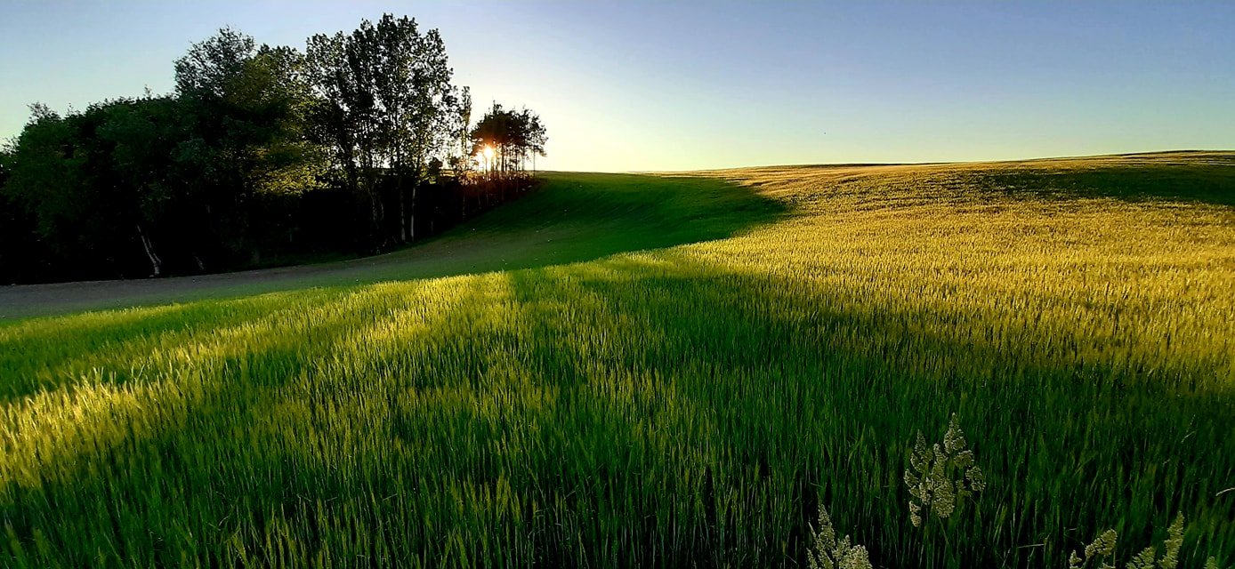 Endags retreat - Søndag d. 19. juli - kl. 10.00-17.00 - Billede 4