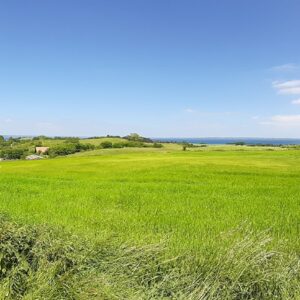 Endags retreat - Søndag d. 19. juli - kl. 10.00-17.00