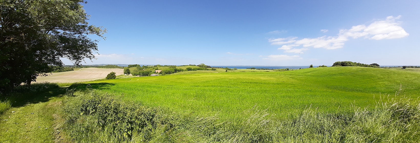 Endags retreat - Søndag d. 19. juli - kl. 10.00-17.00